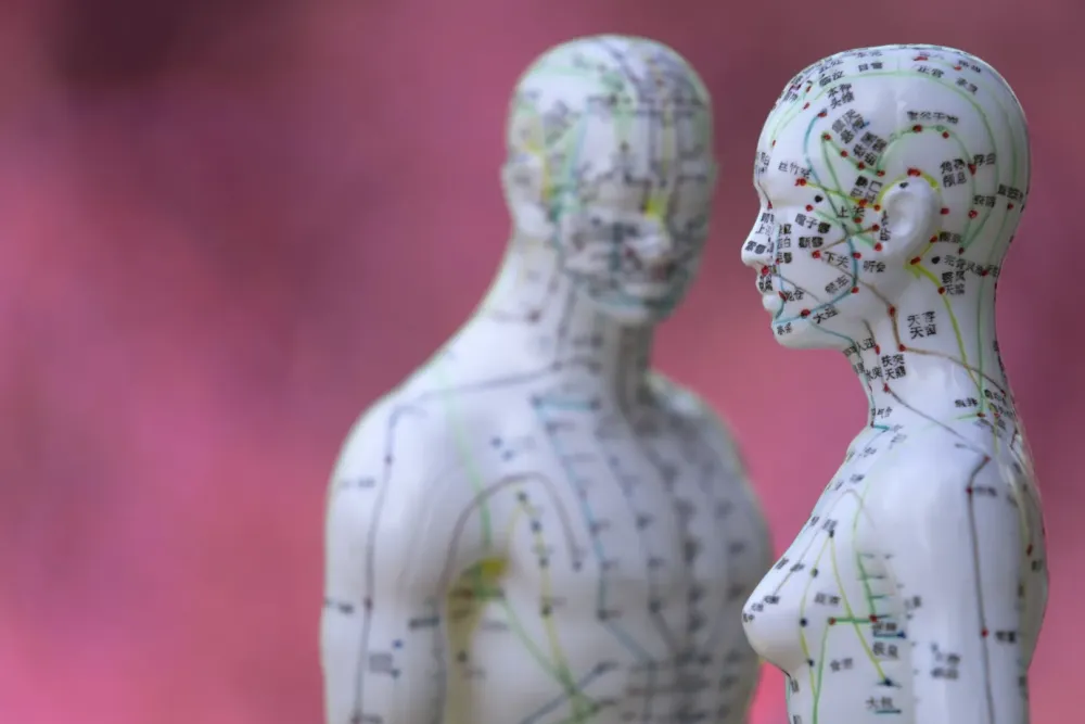 medecine-chinoise (5)